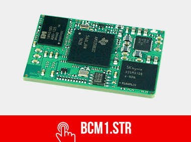 BCM1.STR module for standard temperature range